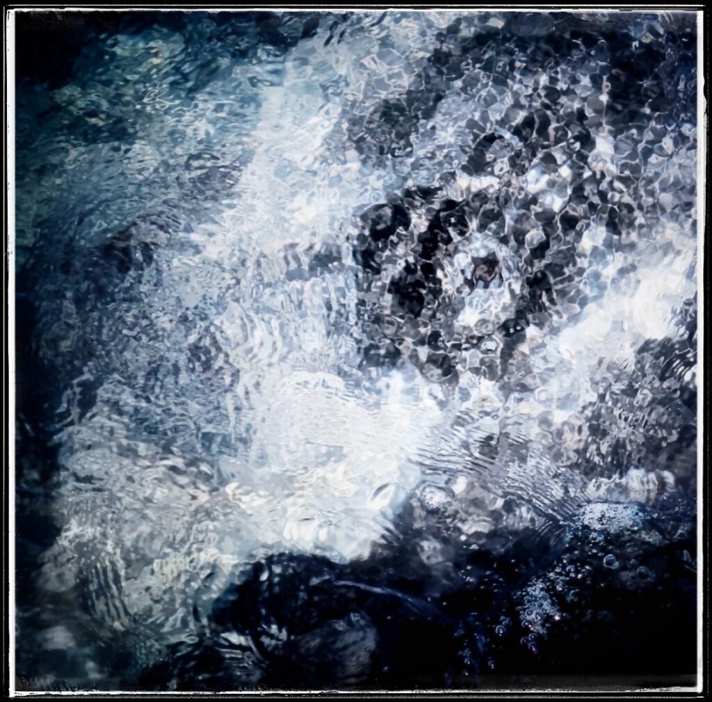 Whale eye photo that inspired Portal, a Poem by CT Poet Joan Kantor