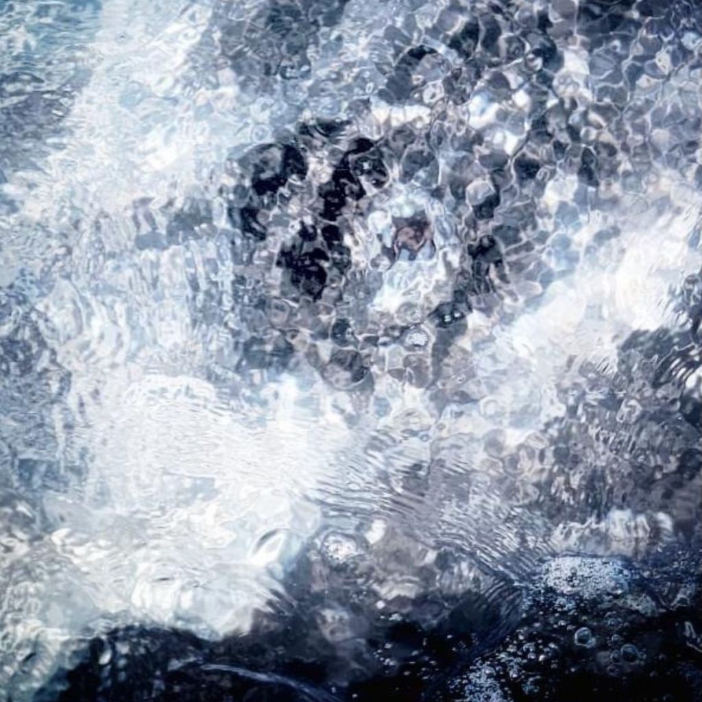 Portal Home Portal Home