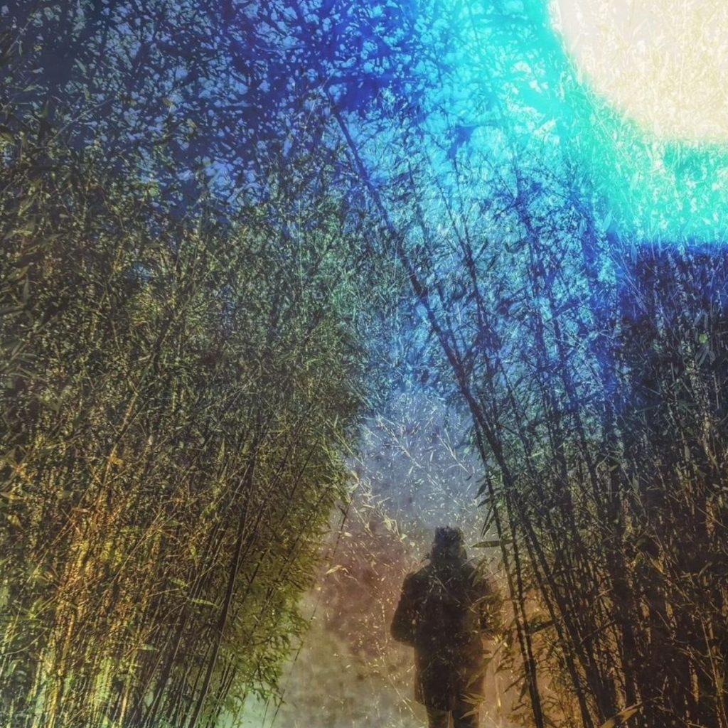 different path home different path home