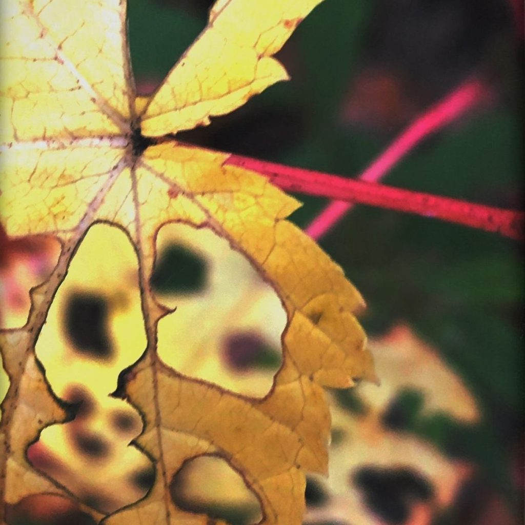 different perspectives home different perspectives home