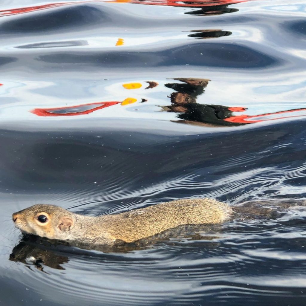 into the unknown resized into the unknown resized