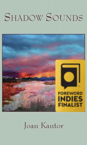 shadow sounds award shadow sounds award